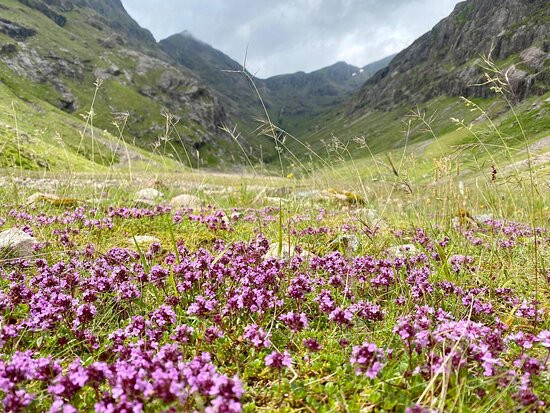 The Highland Mountain Company景点图片