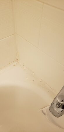 Holiday Inn Express & Suites Dyersburg by IHG主图