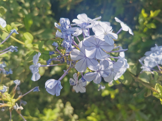 Playa Benagalbón-Torre de Benagalbon必去景点