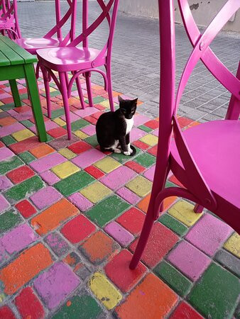 Boulevard of Broken Dreams-Karpathos Town (Pigadia)必去景点