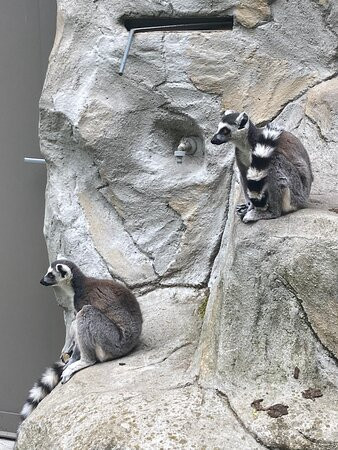 Zoo Olomouc-奥洛穆克必去景点
