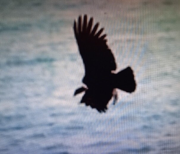 Reserva Nacional San Fernando