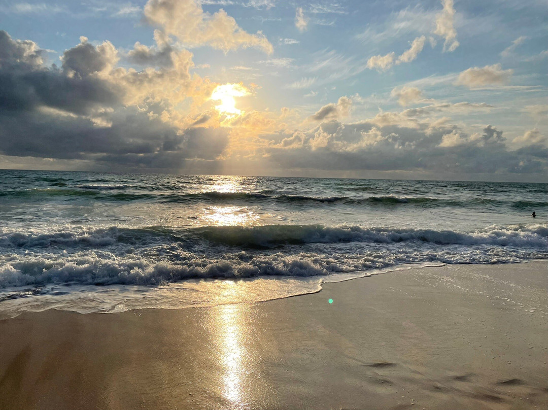 Les Plages de Lacanau景点图片