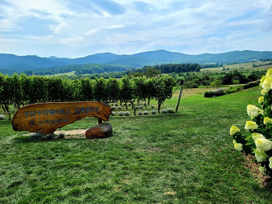 Pippin Hill Farm & Vineyards-North Garden必去景点