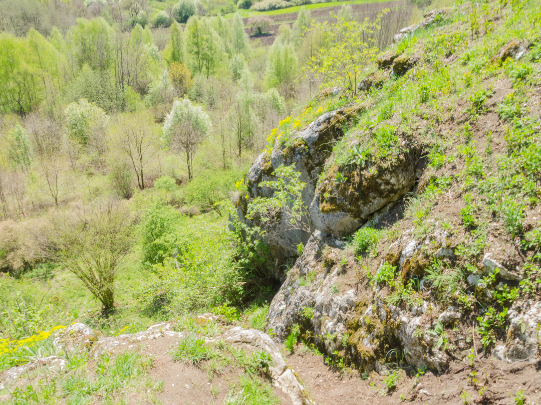 Jaskinia Przeginska-Czernichow必去景点