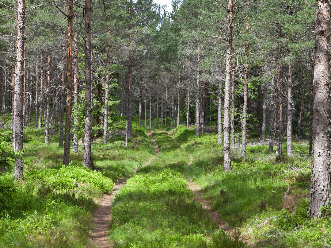 Smålandsleden