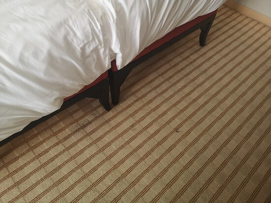 艾美拉弗斯布里特酒店主图