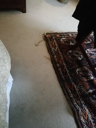 Cedar House Boutique B&B主图