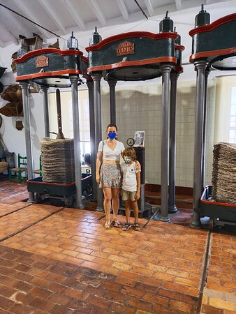 Oleoturismo Viaje al Mundo del Aceite-Begijar必去景点