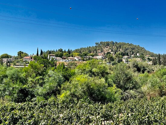 Flam Winery-Beit Shemesh必去景点