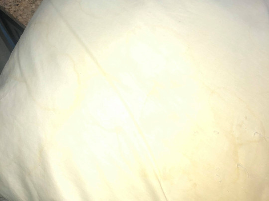 Blue Jay Inn and Suites