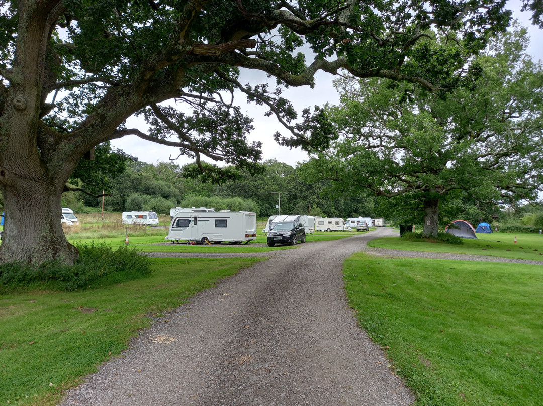 Three Trees Camping