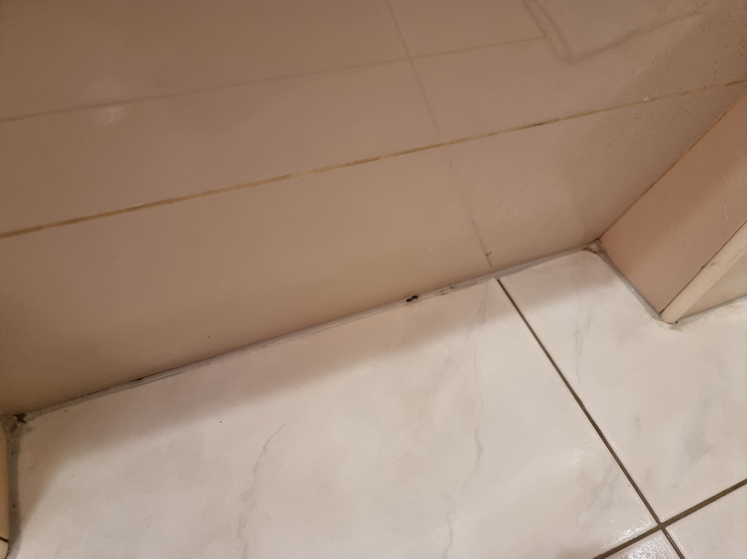 Apartment Milka 1