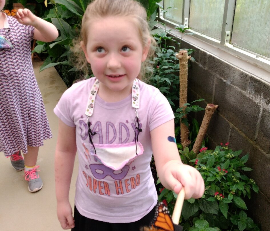 Dahlonega Butterfly Farm-达洛尼加必去景点