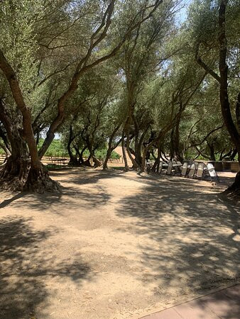 Uncorked Wine Tours-帕索罗布尔斯必去景点