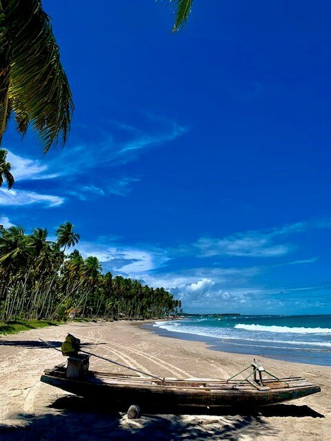 Pousada Paraiso Carneiros主图