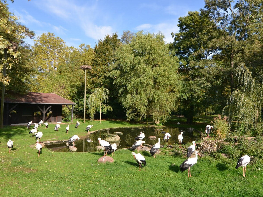 Parc À Cigognes景点图片