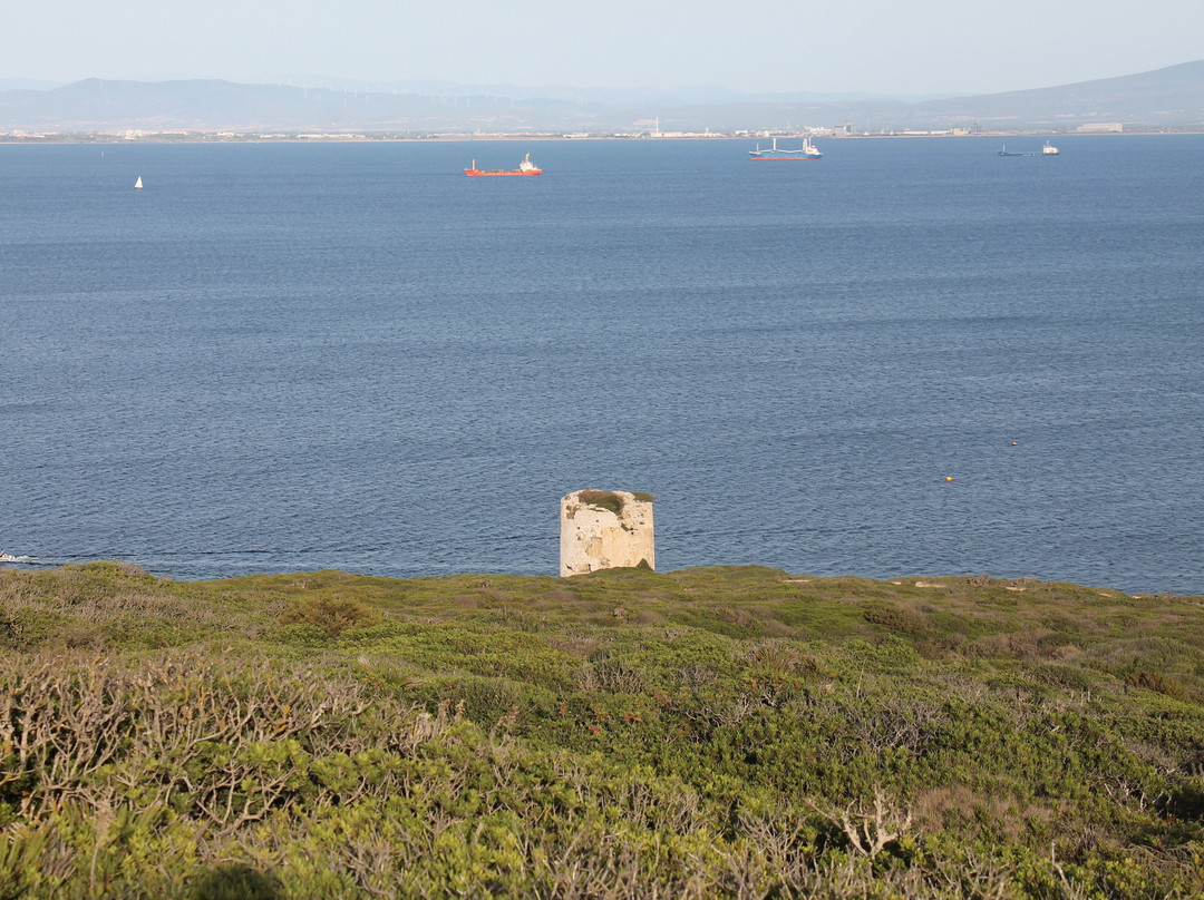 Torre Vecchia (o Torre Di San Marco)