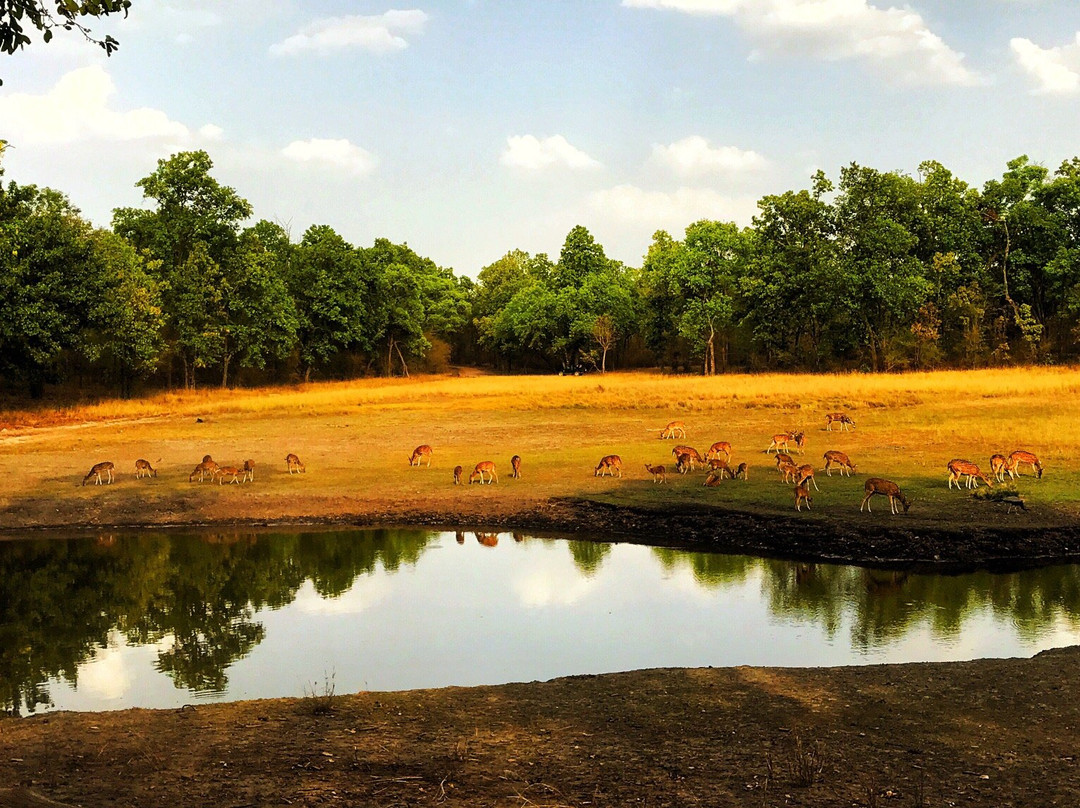 Bandhavgarh National Park旅游攻略图片