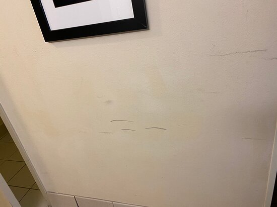 北棕榈滩海景智选假日酒店-官方