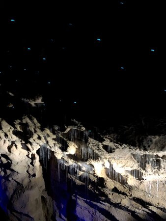 萤火虫汽车旅馆主图