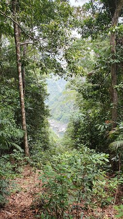 Kuranda Rainforest Journeys ATV Tours-凯恩斯必去景点