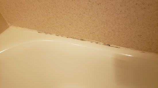 Candlewood Suites Destin-sandestin Area by IHG主图