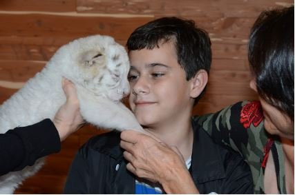 T.I.G.E.R.S. Preservation Station-美特尔海滩必去景点