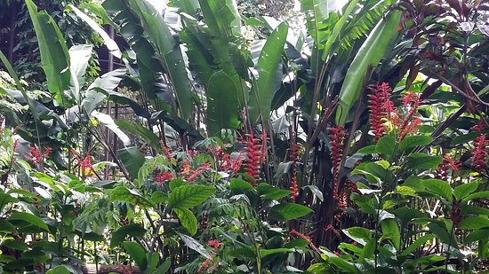 Jardin De Los Pajaros景点图片