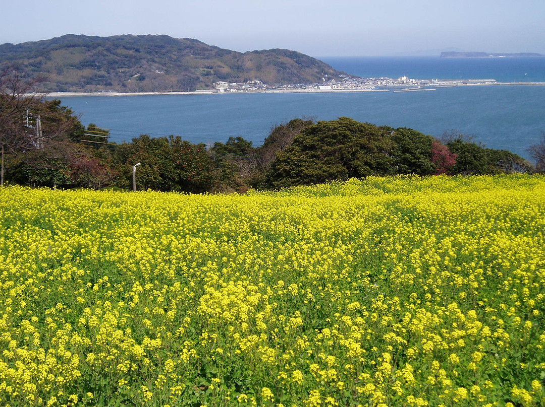 福冈市旅游攻略图片