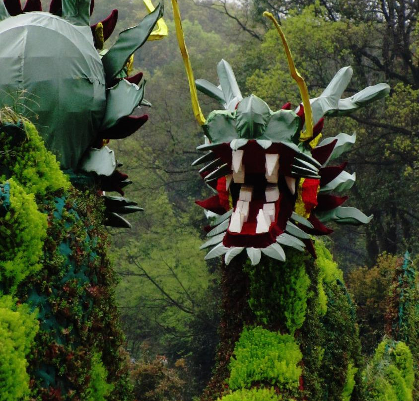 湖南森林植物园