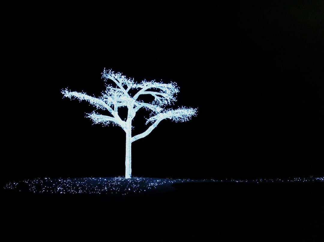 Winter Vista Illumination-立川市必去景点