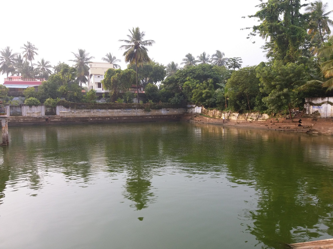 Mayuranathaswamy Temple景点图片