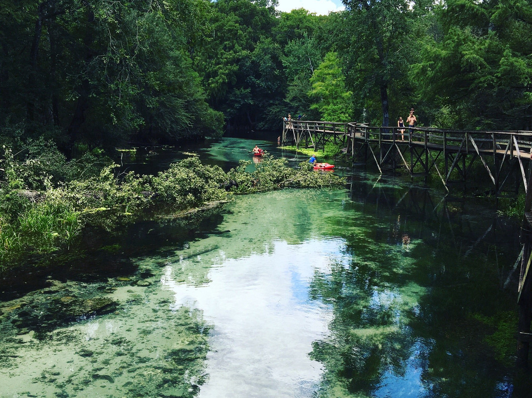 High Springs旅游攻略图片