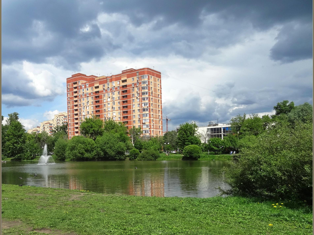 Natashinskiy Park景点图片