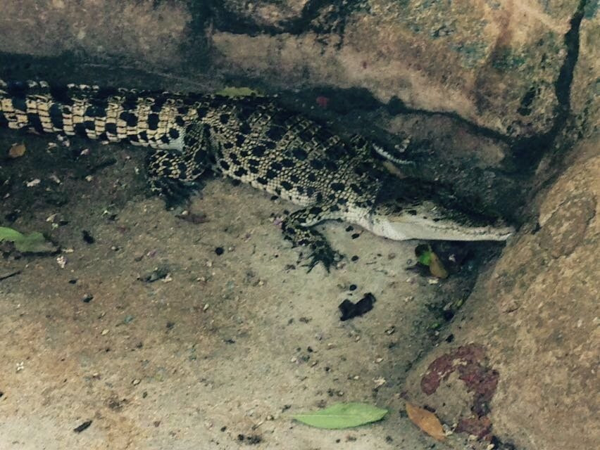 Taman Buaya & Rekreasi Melaka