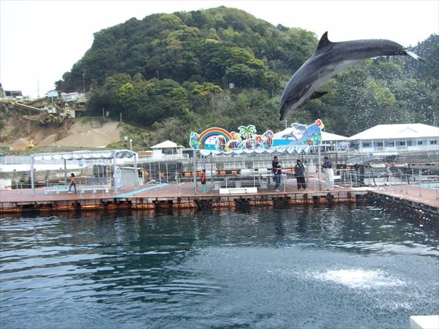 Tsukumi Dolphin Island景点图片