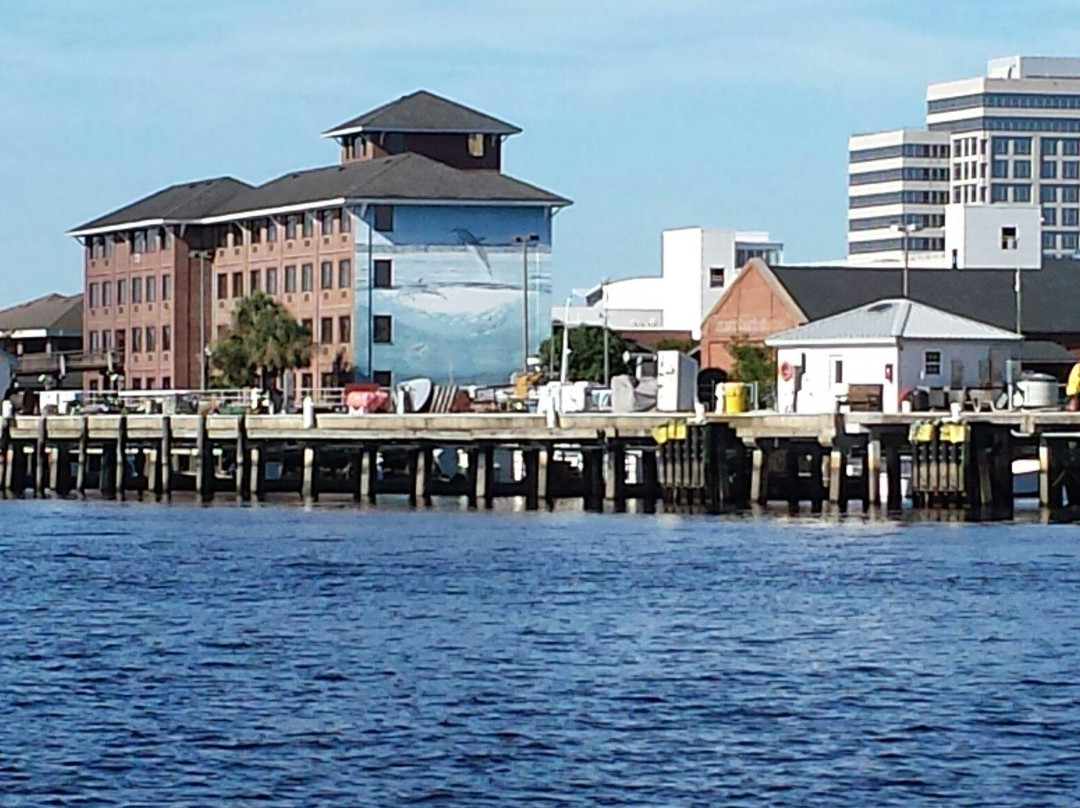 Downtown Wilmington景点图片