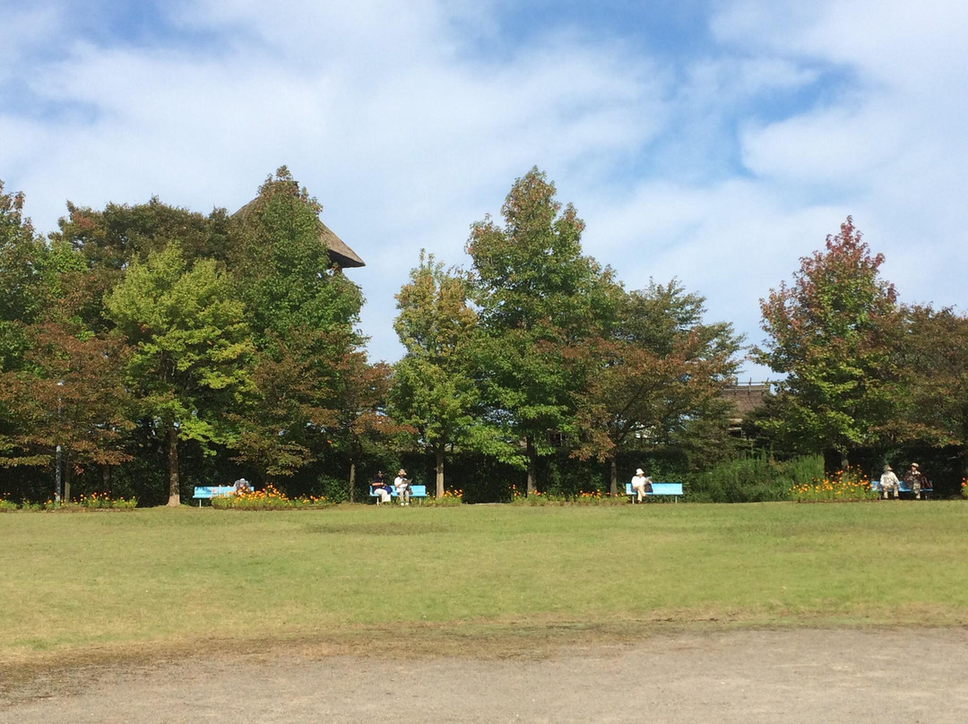 Hill of Hoki Kodai Park