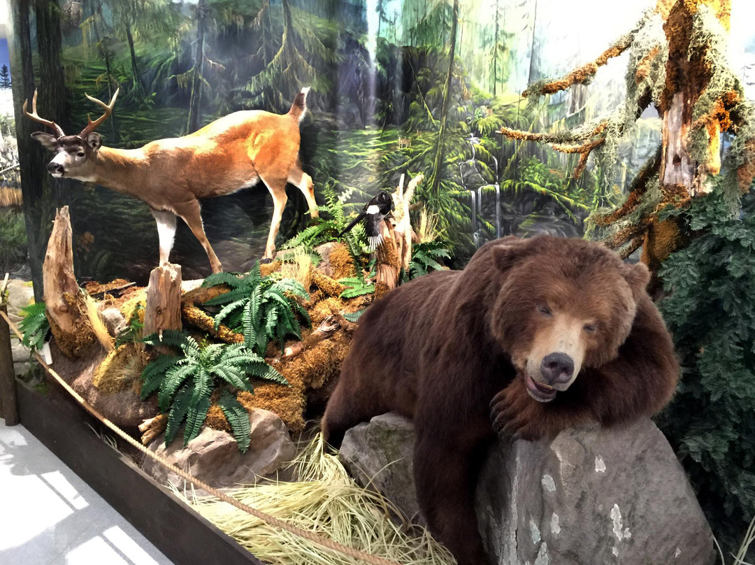 Fraserville旅游景点-The OFAH Mario Cortellucci Hunting & Fishing Heritage Centre