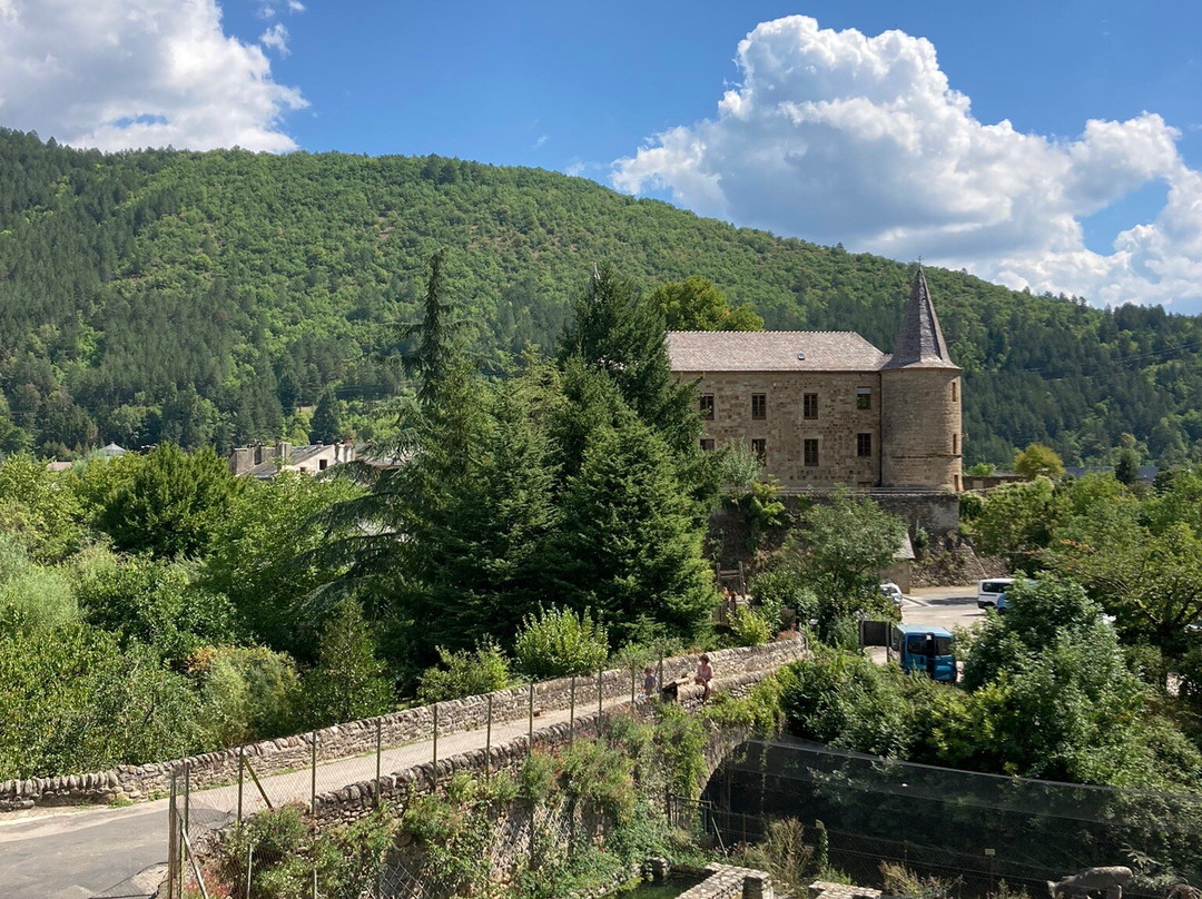 Château De Florac