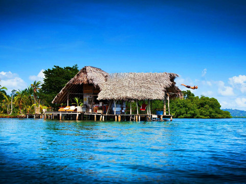 CocoVivo