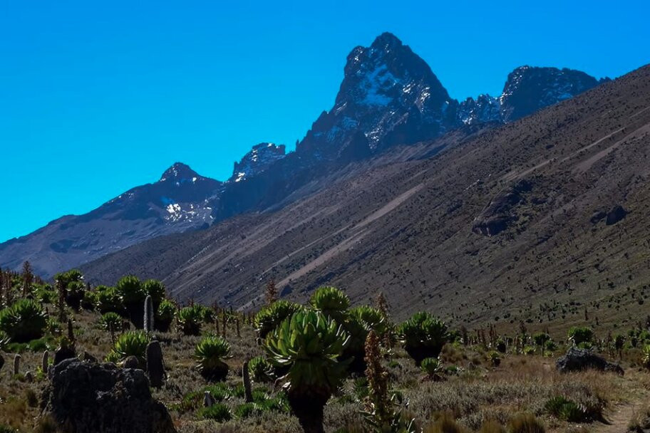 Mount Kenya Safaris景点图片