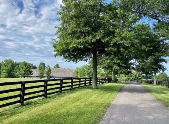 Rarest Thoroughbreds in the World Tour-列克星敦必去景点