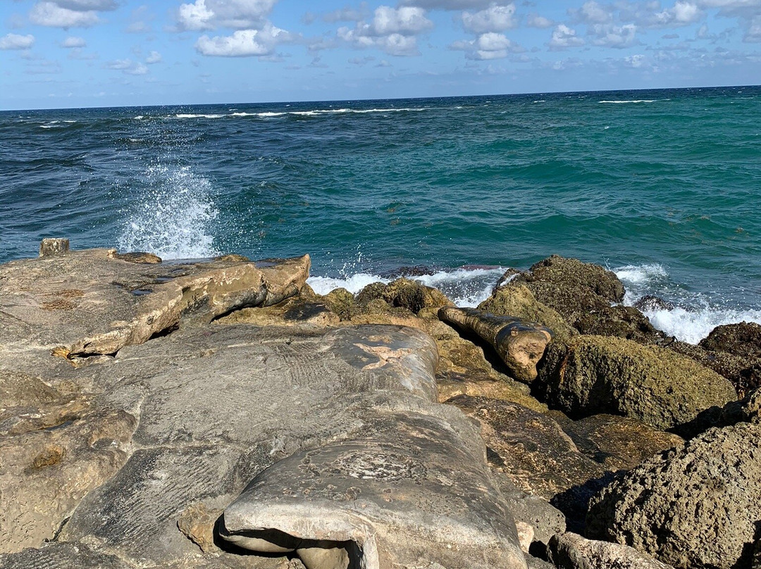 South Inlet Park Beach-博卡拉顿必去景点