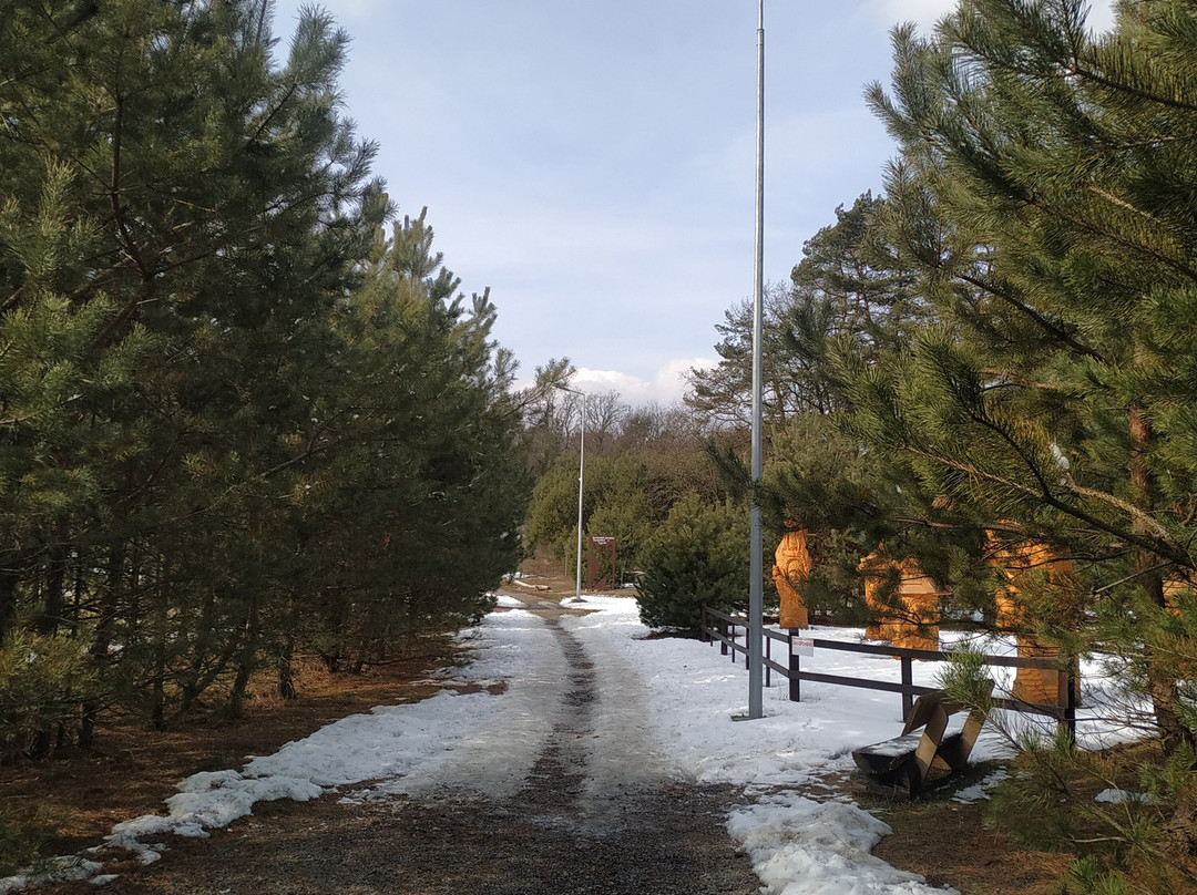 Bear Sanctuary Domazhyr-Zhorniska必去景点