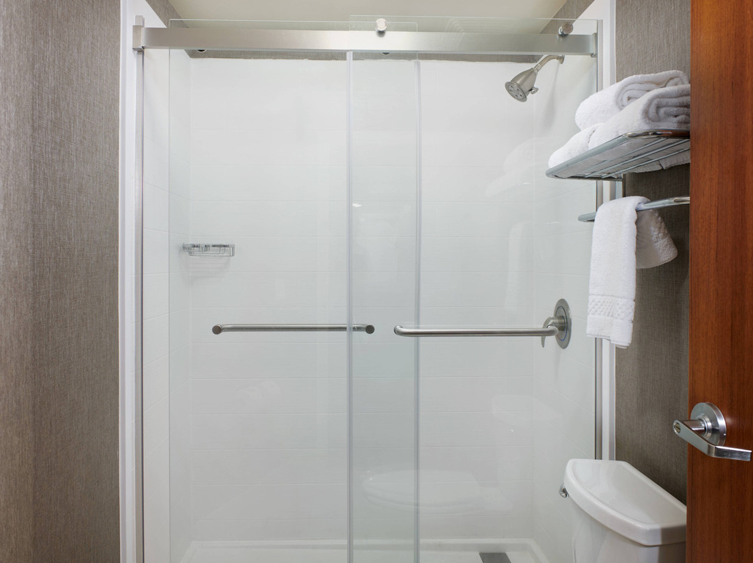 SpringHill Suites by Marriott Baton Rouge North/Airport主图