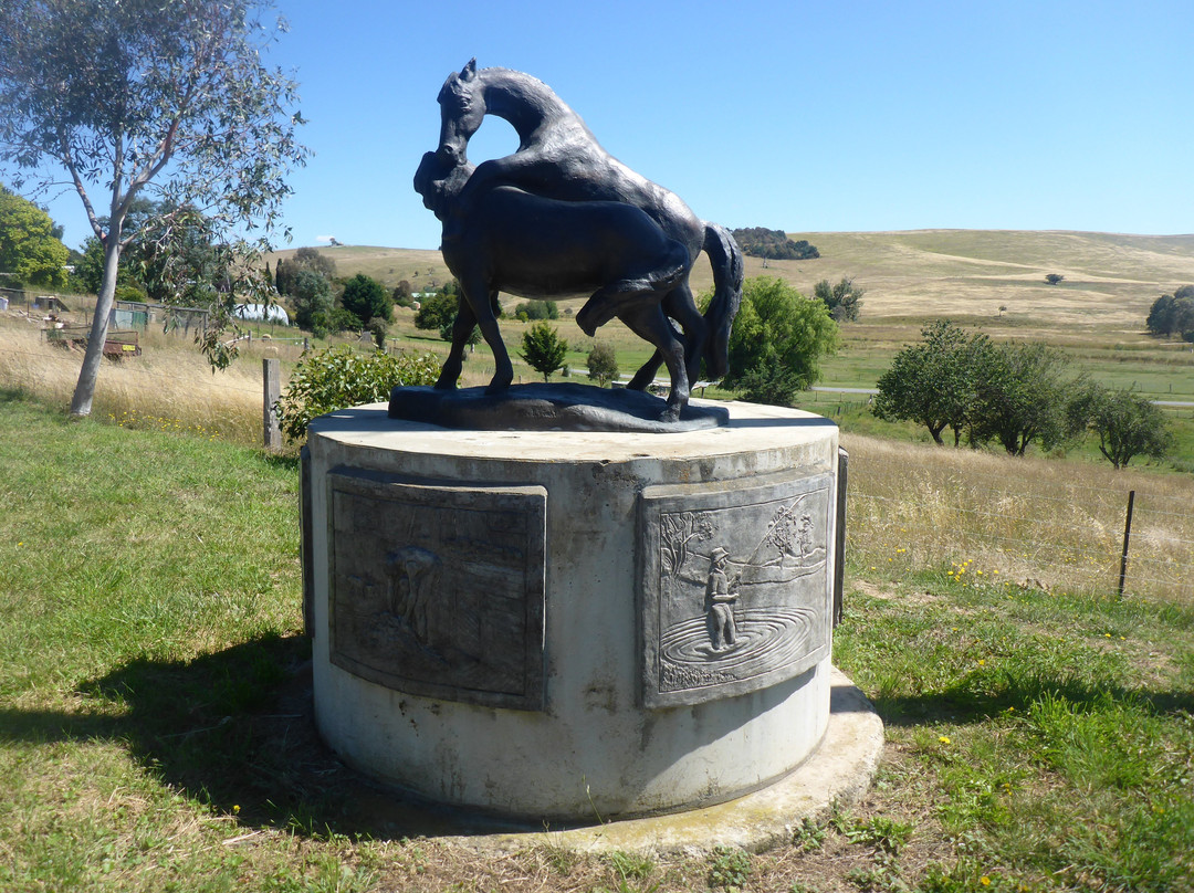 The Brumbies