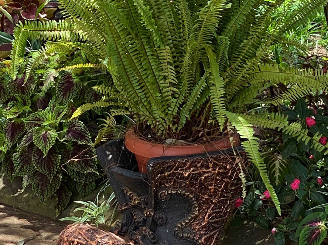 Royal Victoria House主图