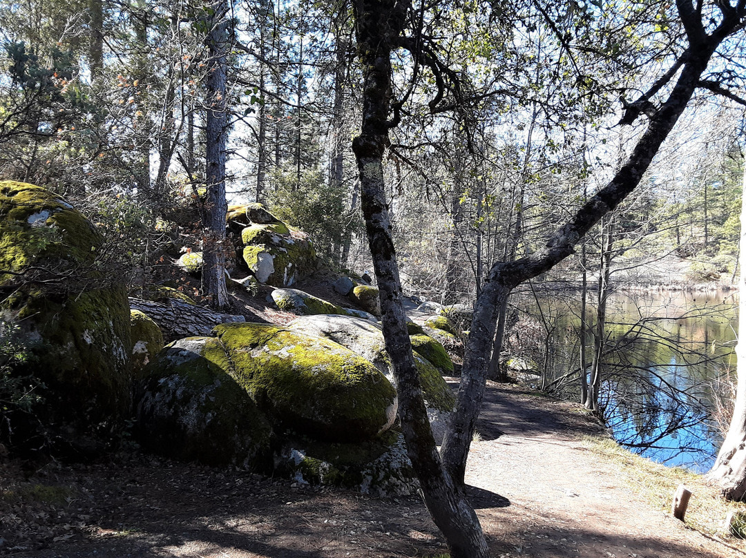 Hirschman's Pond Trail-Nevada City必去景点